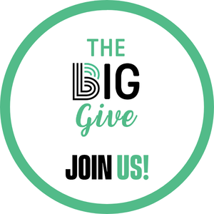 Ambassadors of BBBSLV